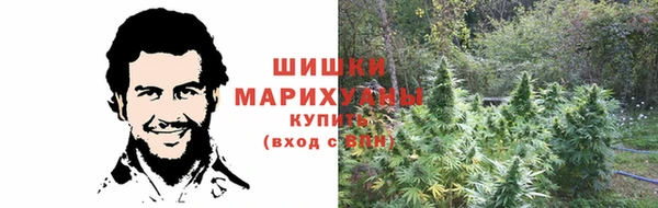 гидропоника Володарск